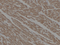 //imrorwxhrkinlm5q-static.micyjz.com/cloud/liBpjKnjlkSRqipprkmmip/93829634df69e27c77ea7ecb1ceb0752-60-60.png